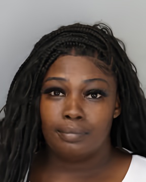 Mugshot of TERA YOUNG