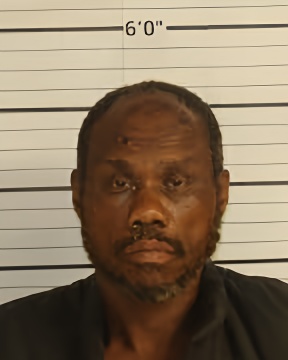 Mugshot of GARY DEWAYNE WHITE