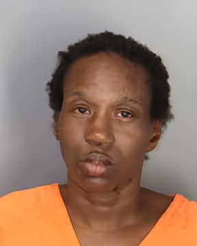 Mugshot of DONIMIQUE LASHA MCGOWAN