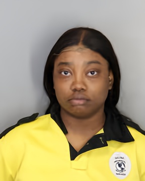 Mugshot of JANIK RIVERS