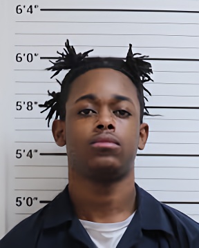 Mugshot of CHRISHAWN T LEWIS