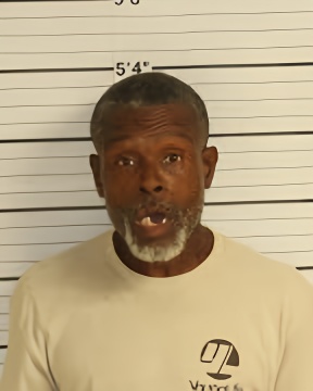 Mugshot of DAVID L MCSHAN