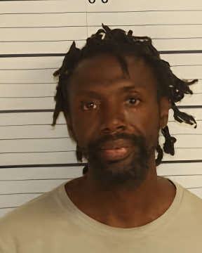 Mugshot of RICTAVIN D RICHARDSON