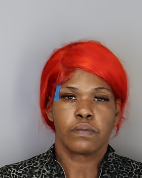 Mugshot of SADA SHANA JEFFERSON