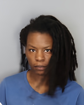 Mugshot of SHELBY BOLDEN