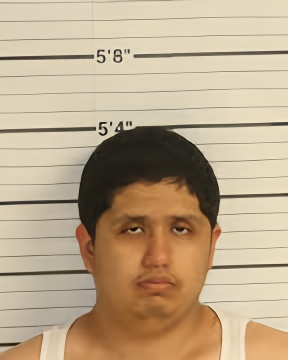Mugshot of JOVANY ESTRADA