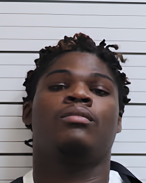 Mugshot of JAMES L PARHAM