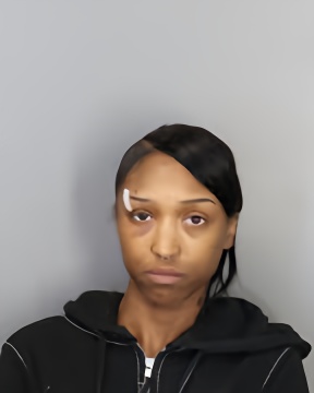 Mugshot of ALISHA ADAMS