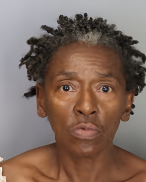 Mugshot of SHEILA TAYLOR