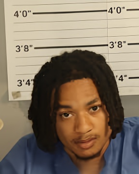 Mugshot of DAMEIN JONES