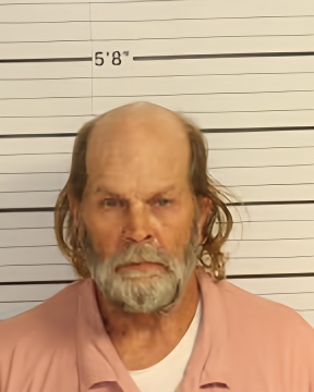 Mugshot of MICHAEL WALLACE