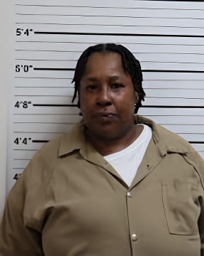 Mugshot of INEZ RENEE SCOTT