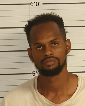 Mugshot of HARRY M JOHNSON