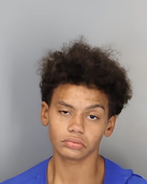 Mugshot of TABITHA MARIE VARDAMAN