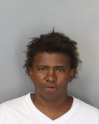 Mugshot of ALICE JEAN PALMER