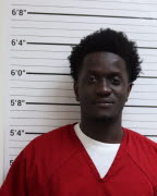 Mugshot of CHEIKH AHAMADOU BAM DIATTA