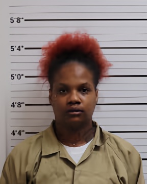 Mugshot of ERICA RENA WHITE