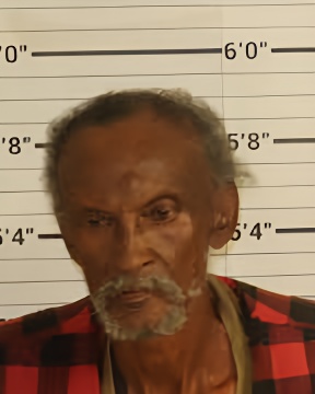 Mugshot of WILLIAM E BROADNAX