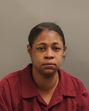 Mugshot of KATRINA KINNELL