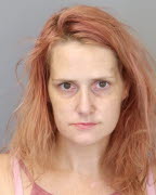 Mugshot of LAUREN ELISE DULL