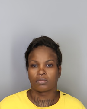 Mugshot of WILLO DENEISE NITER