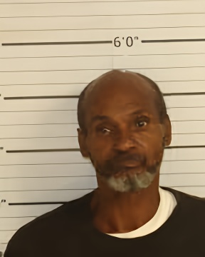 Mugshot of WILLIE L JOHNSON