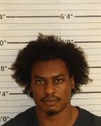Mugshot of TYREE BRYANT