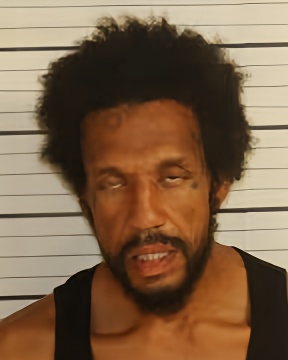 Mugshot of ARTHUR TURNER