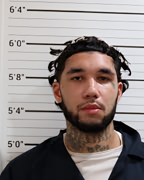 Mugshot of JERMANDALON J DODSON