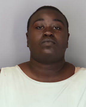 Mugshot of ASHLEY DENSON