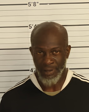 Mugshot of LEWIS JUNIOR GRAFFED