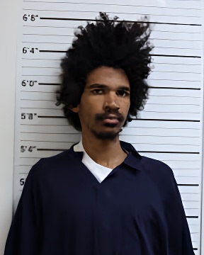 Mugshot of DONTELL ANTHONY BLAKES