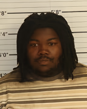 Mugshot of TYLER J STITT