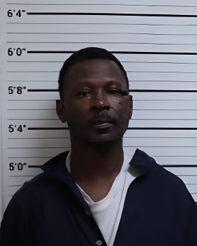 Mugshot of RODNEY D COBBINS