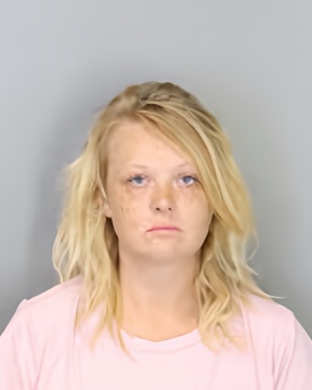Mugshot of BRANDY GREEN