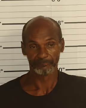 Mugshot of WILLIE L JOHNSON