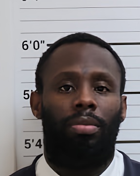 Mugshot of RONALD D WALKER