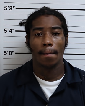Mugshot of MALIK JHAMAAL WILKINS