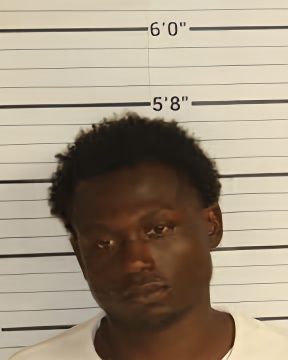 Mugshot of BOBBY D JOHNSON