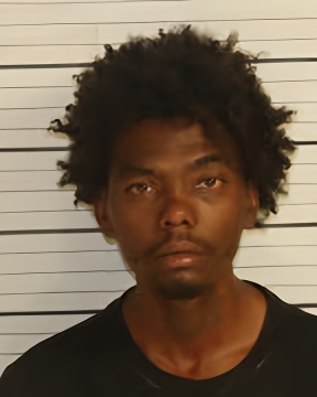 Mugshot of ELDEN D COLLINS