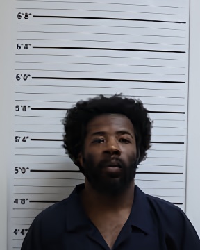 Mugshot of DERRICK R WHITE