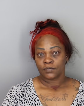 Mugshot of SHARONDA SMITH JOHNSON