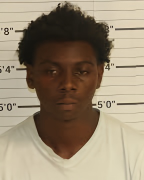 Mugshot of DEDRICK JOHNSON
