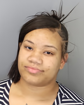 Mugshot of CHINESHA ARIE' HILL