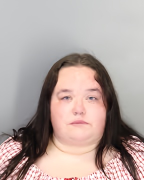 Mugshot of JORDAN OWENS