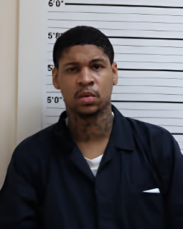 Mugshot of DEANDRE D WILLIAMS