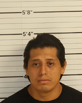 Mugshot of SUSANO TEE