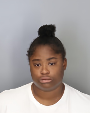 Mugshot of AALIYAH RAY