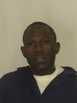 Mugshot of MONTAVIS BOGAN
