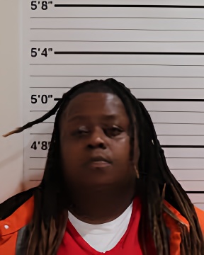 Mugshot of DARNISHA L SIMS